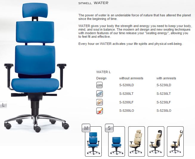 Sitwell-office-chairs-los-angeles-ergonomic_health_chair